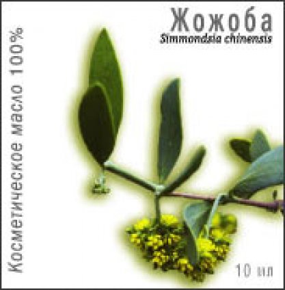 Изображение продукта